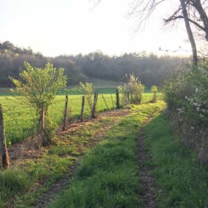 Detox digitale
