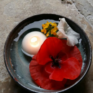cours Hatha Yoga